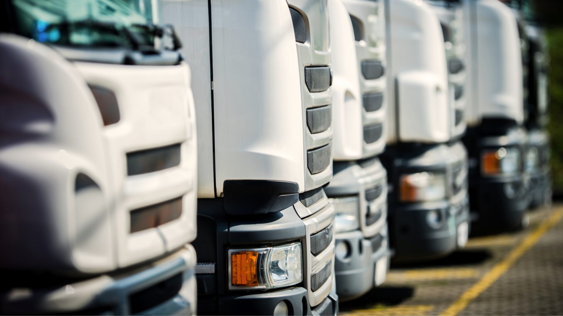 Vale davvero la pena usare un software di fleet management? 1 Vale davvero la pena usare un software di fleet management? Truck Welt foto blog